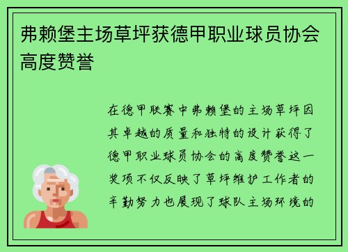 弗赖堡主场草坪获德甲职业球员协会高度赞誉